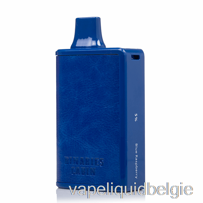 Vape Smaken Horizon Binaries Cabin 10000 Wegwerp Blauwe Framboos